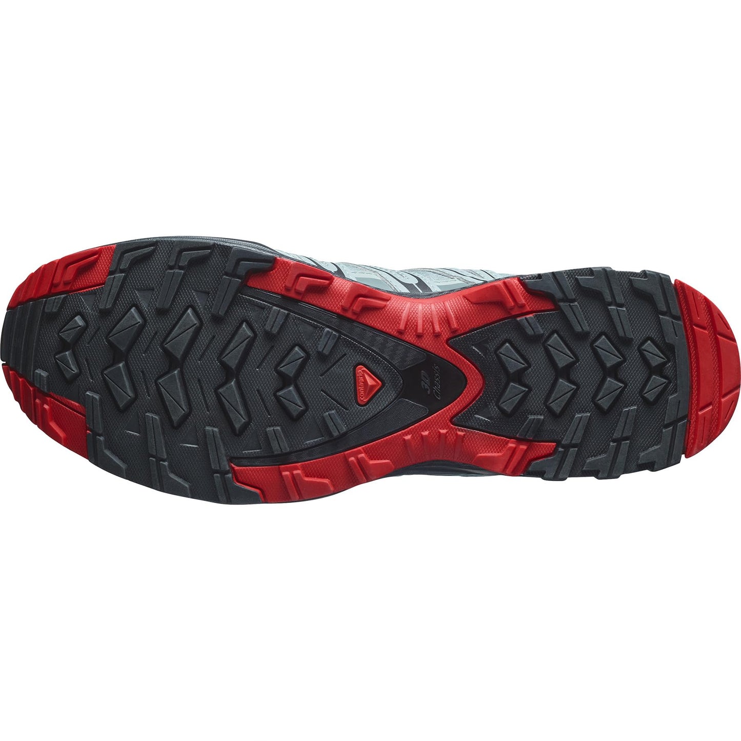 Salomon XA Pro 3D Gore-Tex Men's Trail Running Shoe – Lead/Black/Barbados Cherry